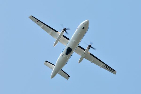 DSC_0218.jpg