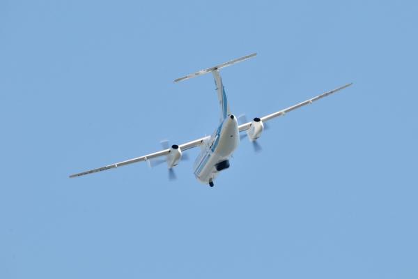 DSC_0222.jpg