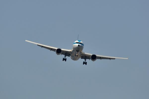 DSC_1042.jpg