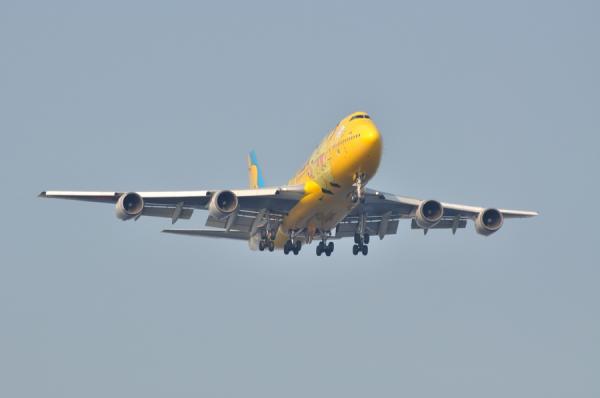 DSC_5184.jpg