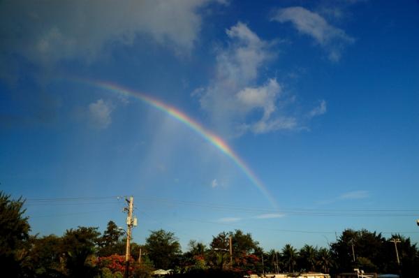 DSC_5235.jpg