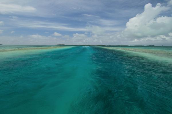 DSC_6344.jpg