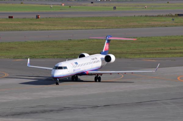 DSC_7175.jpg
