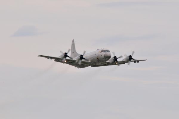 DSC_8453.jpg