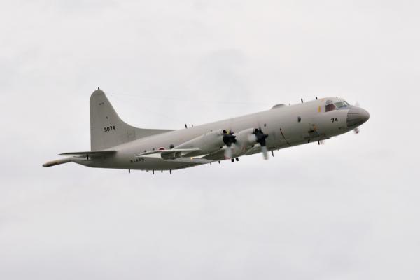 DSC_8460.jpg