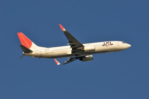 DSC_9771.jpg
