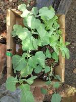 20111002130353.jpg