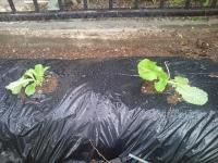 20111004152142.jpg