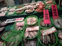 20111009143256.jpg