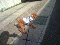 20111020141041.jpg