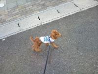 20111020141206.jpg