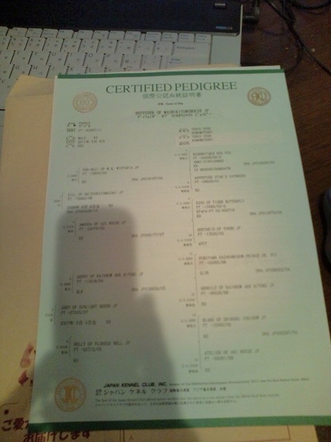 20111023175545.jpg