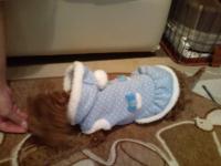 20111028212546.jpg