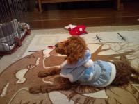 20111028212650.jpg