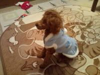 20111028212722.jpg