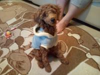 20111028214153.jpg