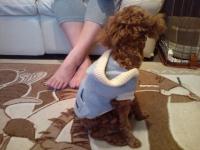 20111028214205.jpg