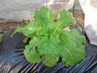 20111101132457.jpg