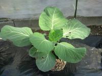 20111101132513.jpg
