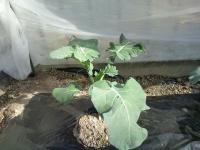 20111101132629.jpg