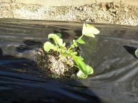 20111101132702.jpg