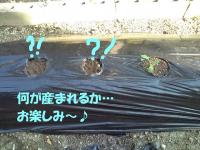 20111101134305.jpg