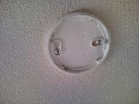 20111103140714.jpg