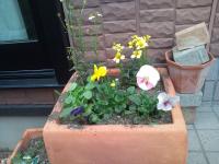 20111105134548.jpg