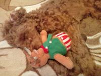 20111106171037.jpg