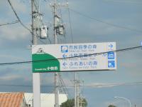 PA230098.jpg