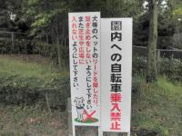 PA230101.jpg