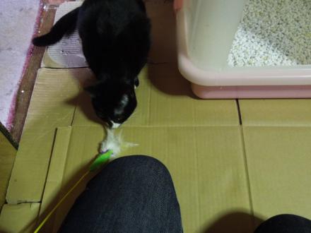 あずみちゃんとの距離感