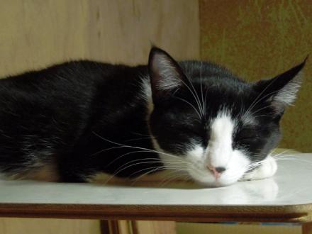 kurumi_20130714_03_m.jpg