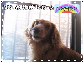 ぽちっ!
