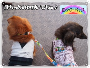 ぽちっ!
