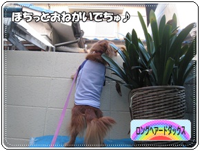 ぽちっ!