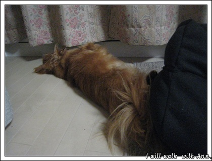 20130502.jpg