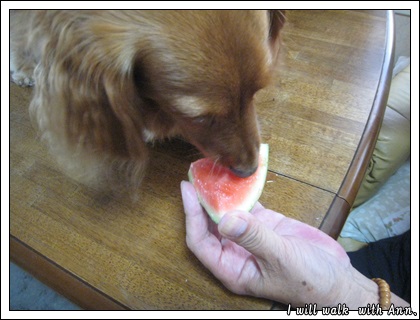 20130710-1.jpg