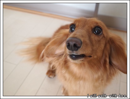 20130723.jpg