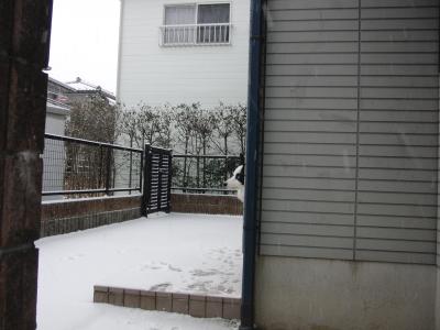 CIMG4890_convert_20140211181216.jpg