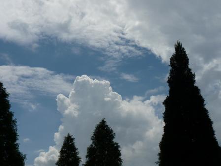 2011082801