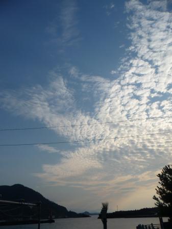 2011091902
