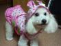 2011011120370000.jpg