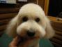 DSCN4181.jpg