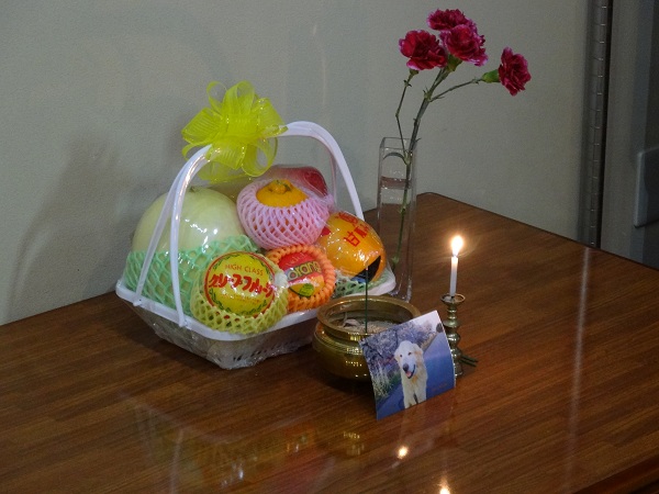 DSC01299.jpg