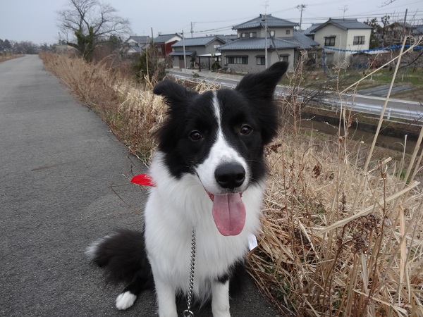 DSC01333.jpg