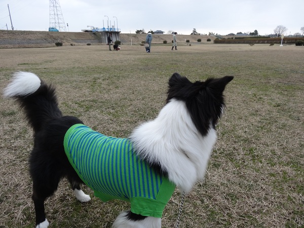 DSC01339.jpg