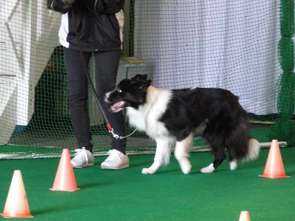 DSC01343.jpg