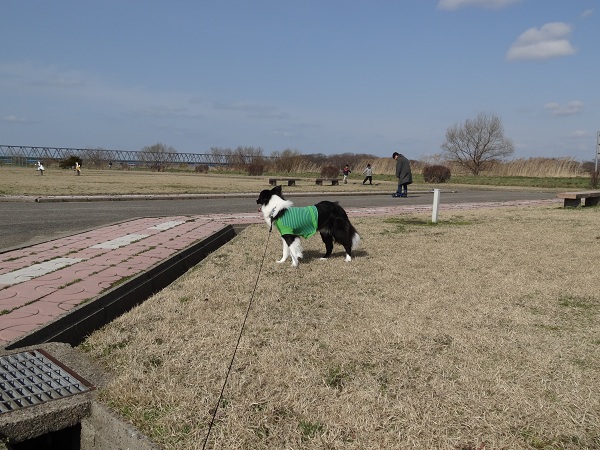 DSC01363.jpg