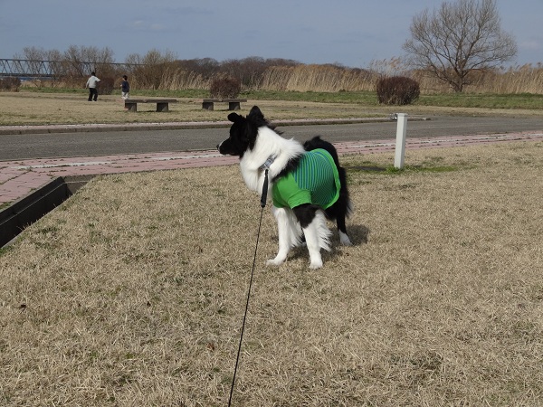 DSC01364.jpg